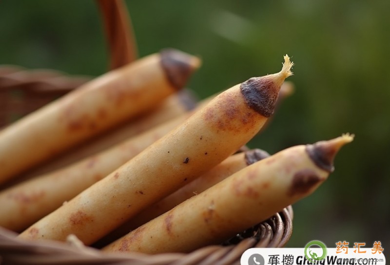 ���S���ܺ�ʲôһ���