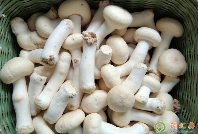 đ�Yʯ�ܳ��u�ȹ���