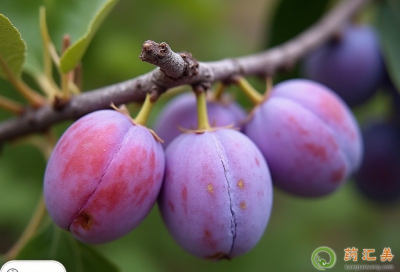 ʧ���ܳ���÷��