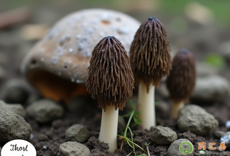 ʧ���ܳ���Ǿ���