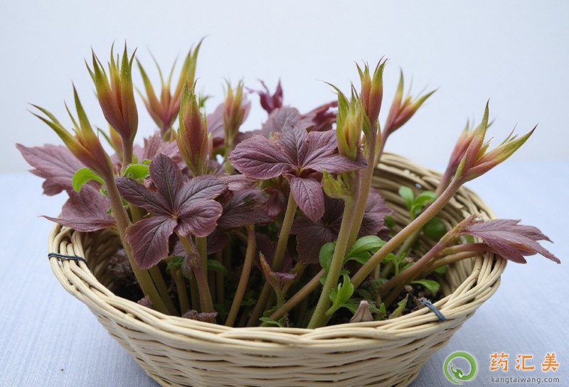 �㴻ѿ�Ĺ�Ч�c����