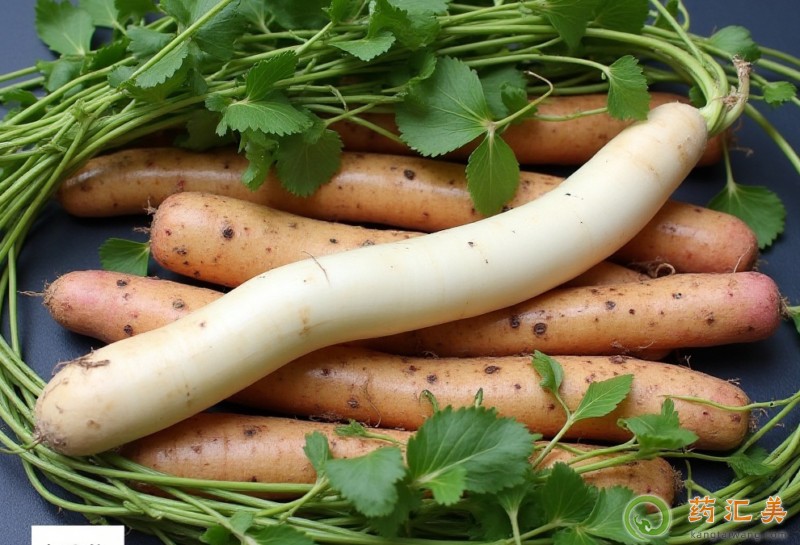 ʧ���ܳ�ɽˎ��