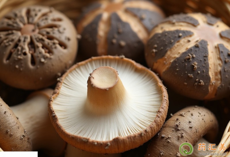 ʧ���ܳ��㹽��