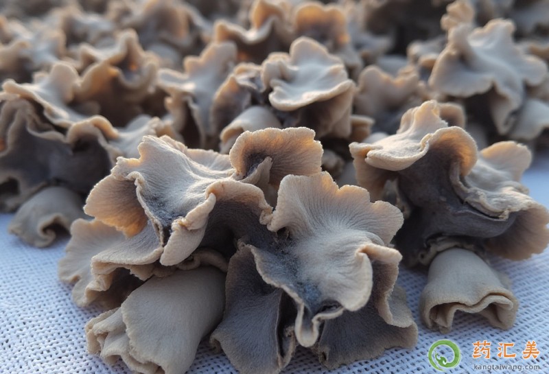 ʧ���ܳԺ�ľ����