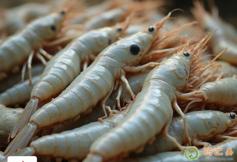 ʧ���ܳ����r��