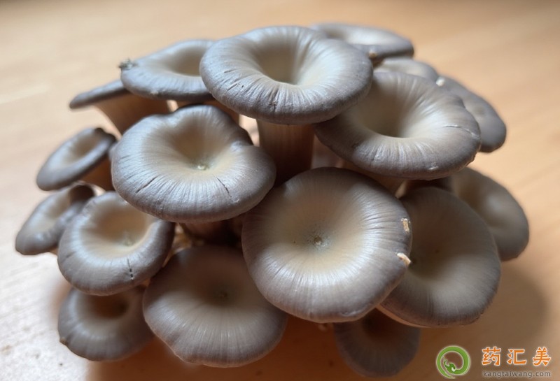 ʧ���ܳ�Ģ����