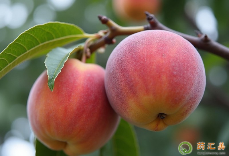 �����׻֏��ڳ����ӺÆ�