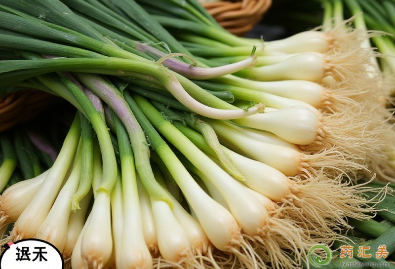 Ұ�²��܉�ꖆ�