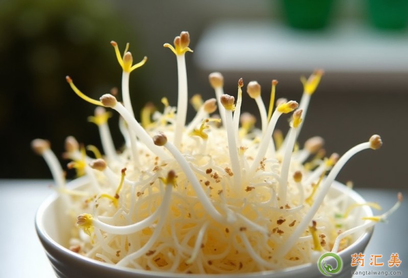 �����׻֏����ܳԶ�ѿ��