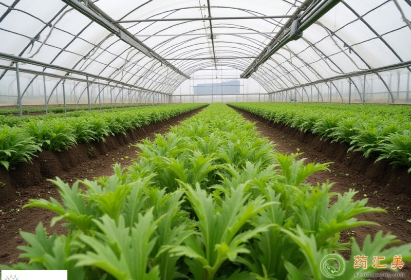 đ�Yʯ�ܳ�֥��ˆ�