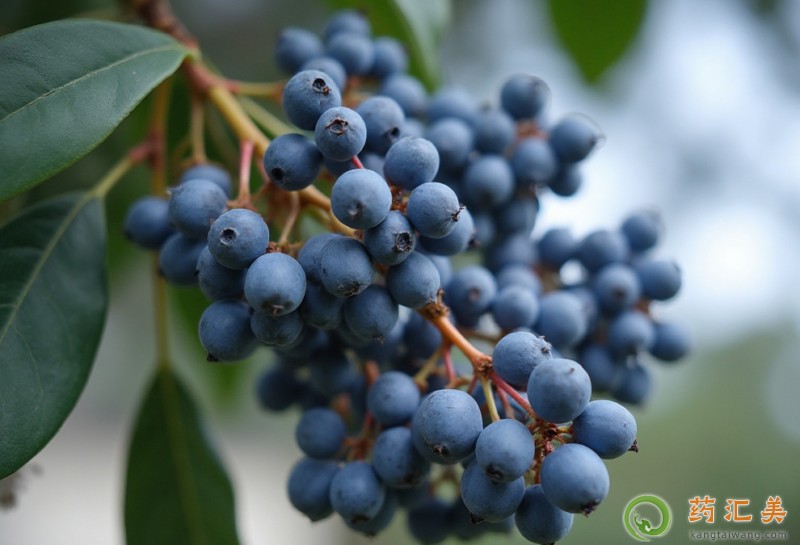 Ůؑ�ӿ����a(b��)�I��