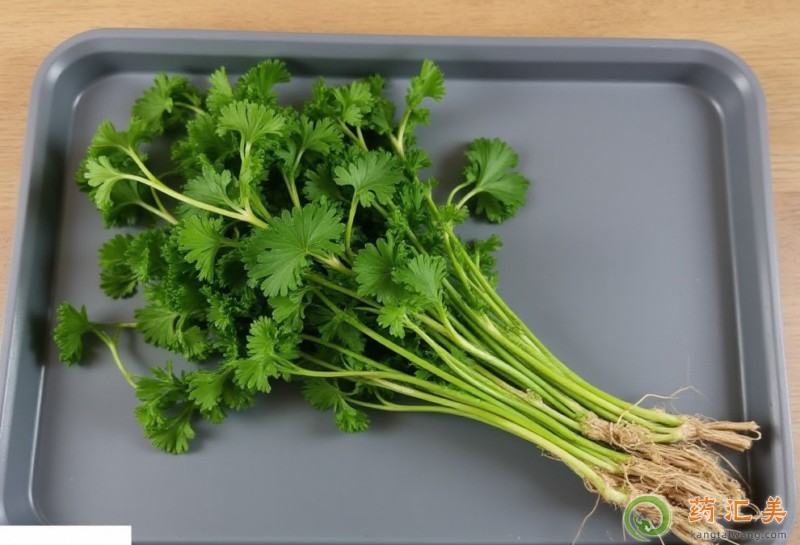 �����׻֏����ܳ���ˆ�