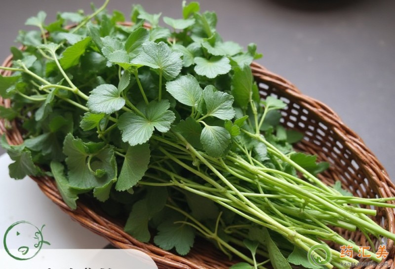 �����ׄ���Ժ�ܳ���ˆ�