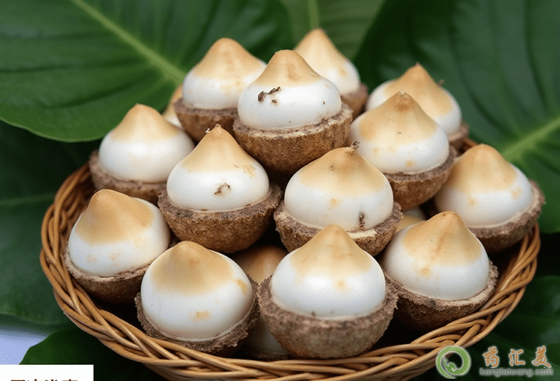 ���^�����Է��α��؆�