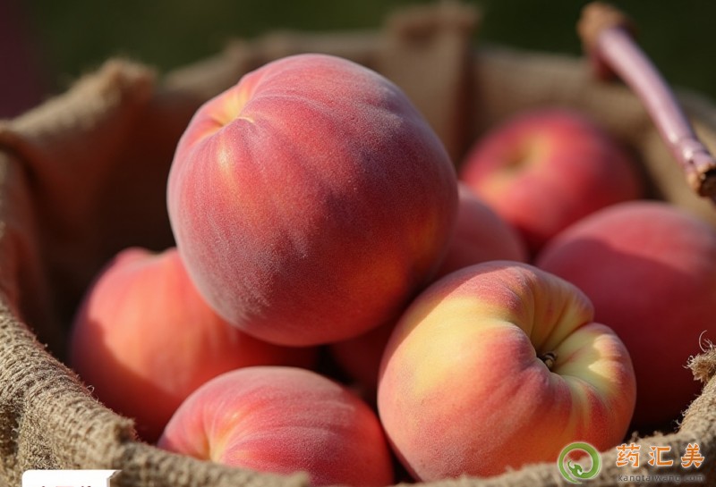 �������ܳ����ӆ�