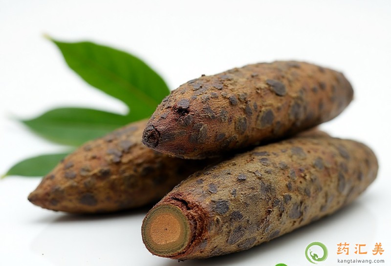 ����ɐ���������������