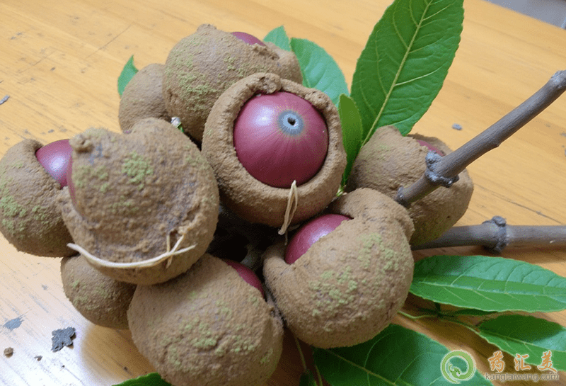 ��ꖹ����aѪ��