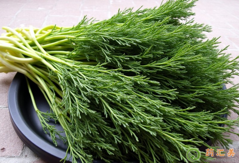 ʧ���ܳ�����ˆ�