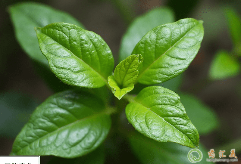 ���r���מ�������ô��