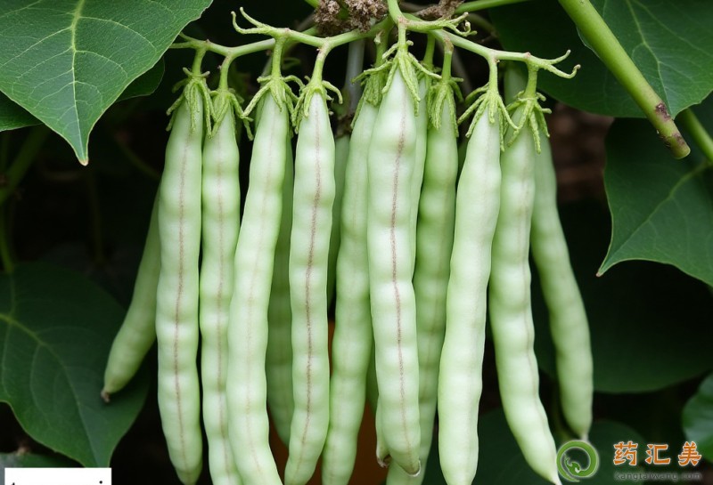 �����׿��Գ��|����