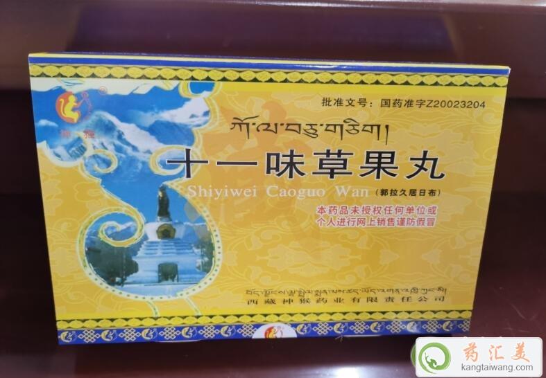 ʮһζ�ݹ���׺�1������