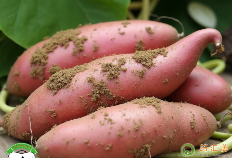 �����׳ԵعϺ�