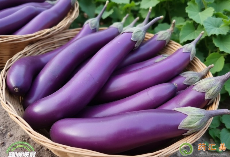 �����׳����Ӻ�