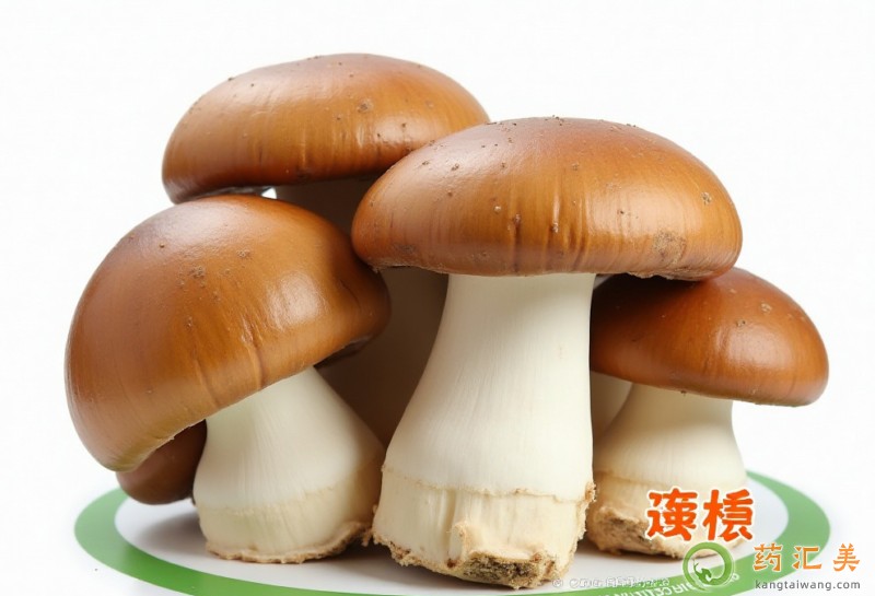 �����׳��p�߹���