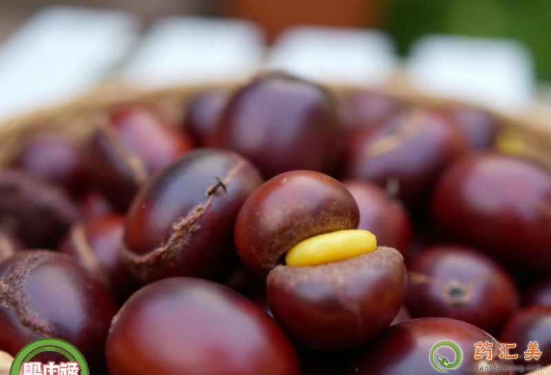 �������ܳԳ����ӆ�