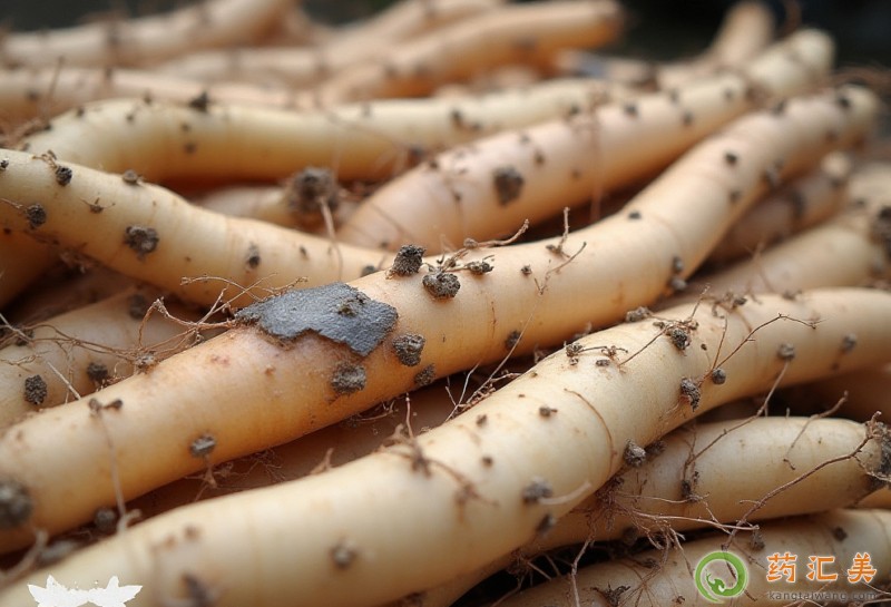 �����׳��F�Uɽˎ��