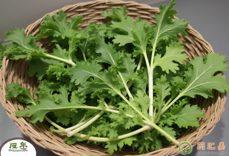 �����׿��Գ������