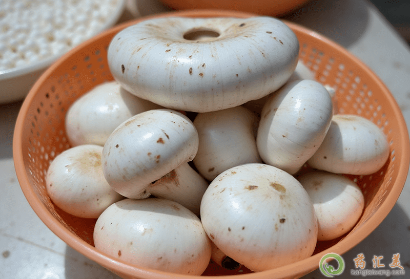 ʧ�߿��Գ��p�߹���