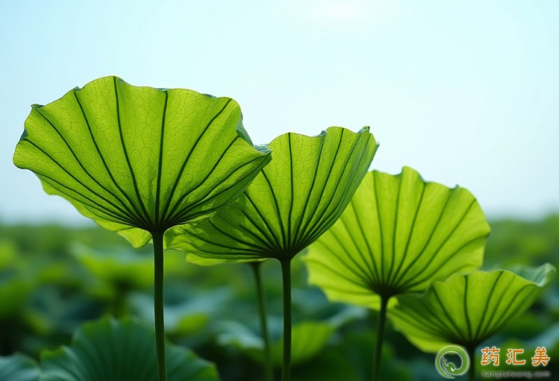 ʧ�߿��ԳԺ��~