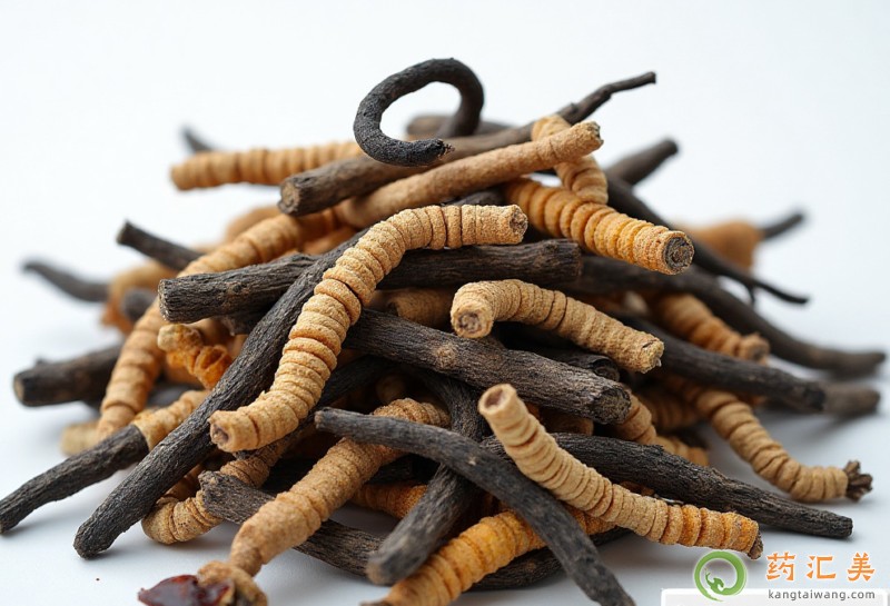 �����׻֏��ڿ��Գ��x�݆�