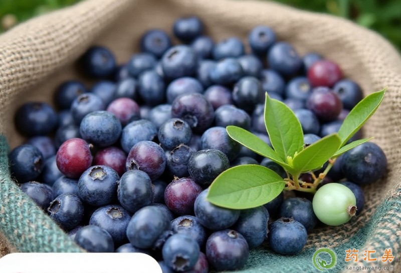 �����׳��{(l��n)ݮ��