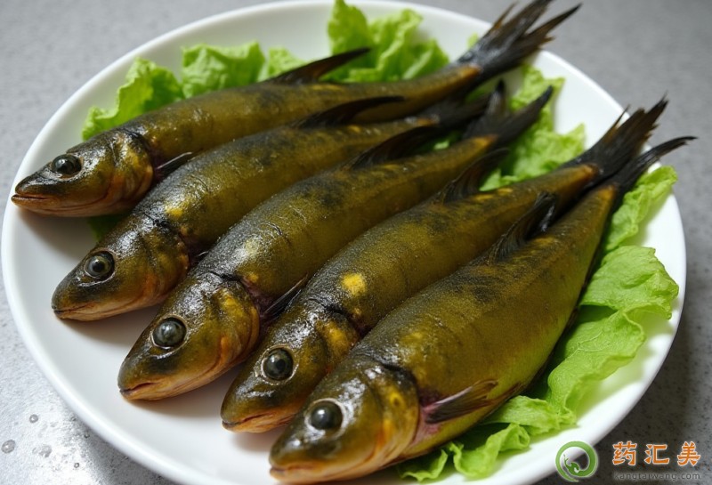 胰腺炎恢復(fù)期可以吃黃骨魚嗎 胰腺炎恢復(fù)期可以吃黃骨魚嗎