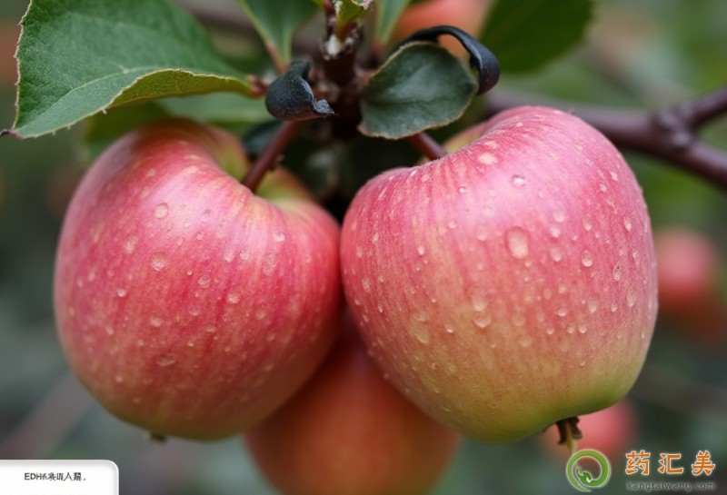 ʧ�߳����O����