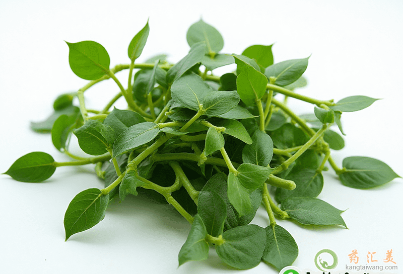 失眠可以吃穿心蓮 失眠可以吃穿心蓮