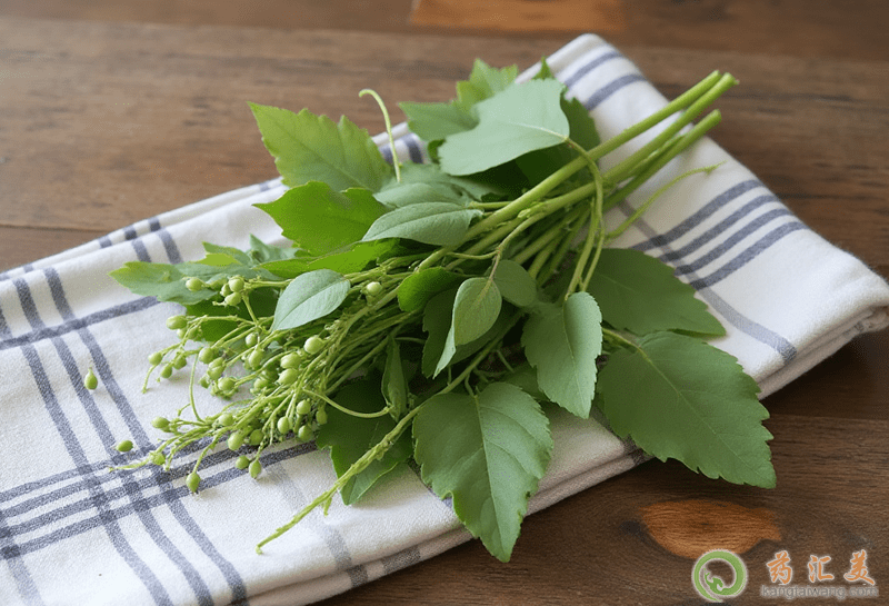 ʧ�߿��Գ��㶹��