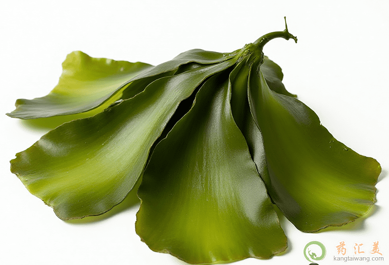 ʧ�߿��ԳԺ�����