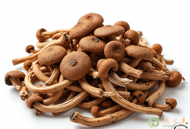 失眠可以吃茶樹菇 失眠可以吃茶樹菇