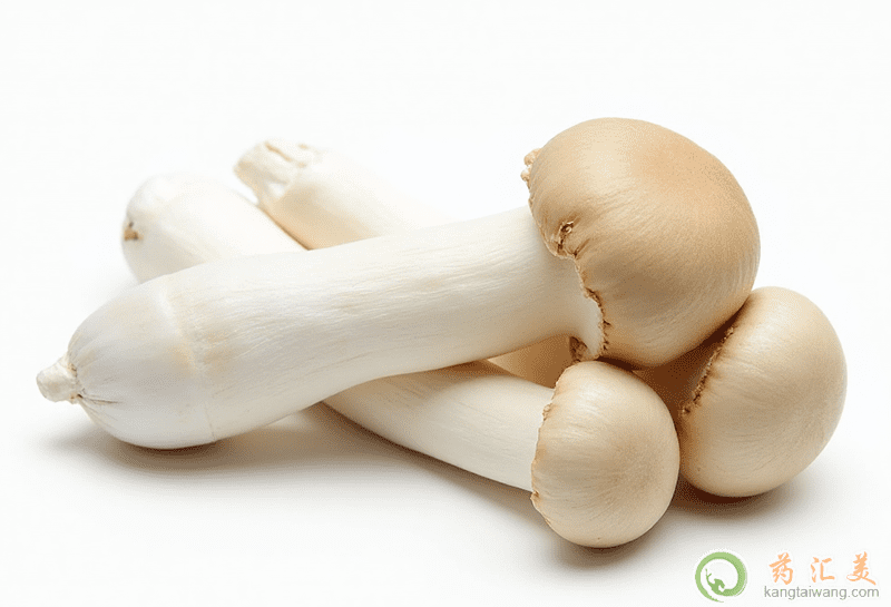 ʧ�߿��Գ����U����