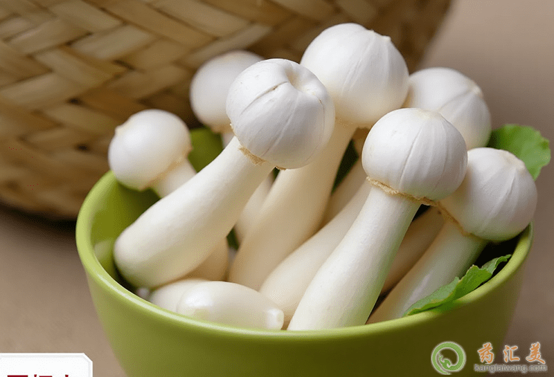 ʧ�߿��Գ��u�ȹ���