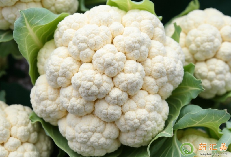 ʧ�߿��Գ԰׻�Ҭ�ˆ�