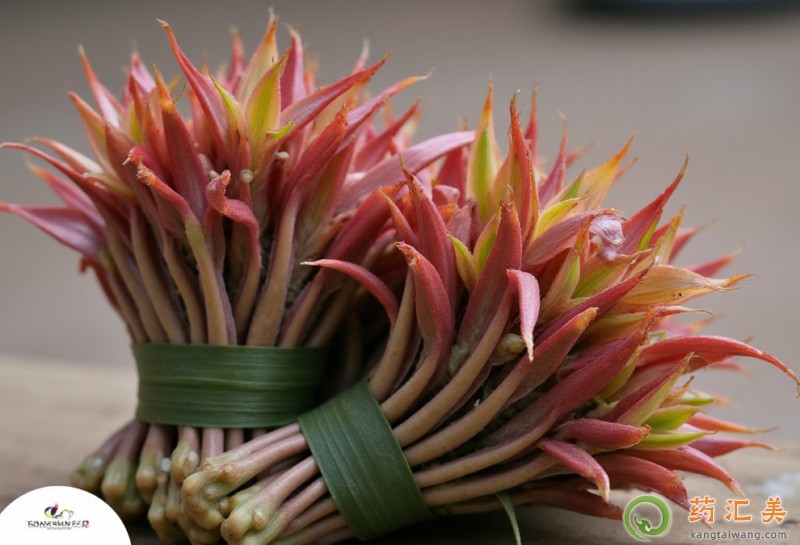 �����׻֏�(f��)�ڳ��㴻��