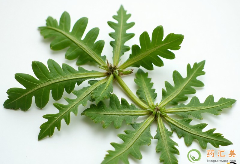 ʧ���ܳ��j�ˆ�