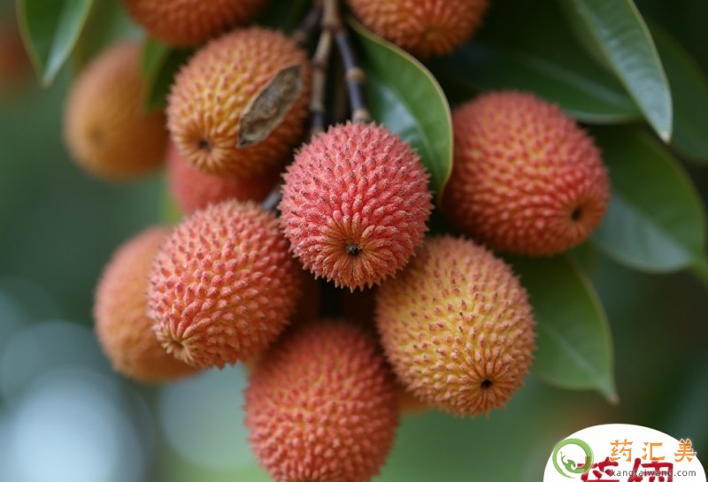 ʧ�߳���֦��