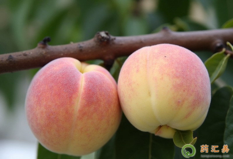 �����׻֏��ڳ�ˮ���Һ�