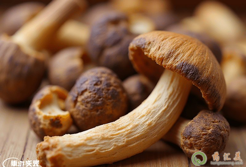 �ڳ����ԳԼ�����