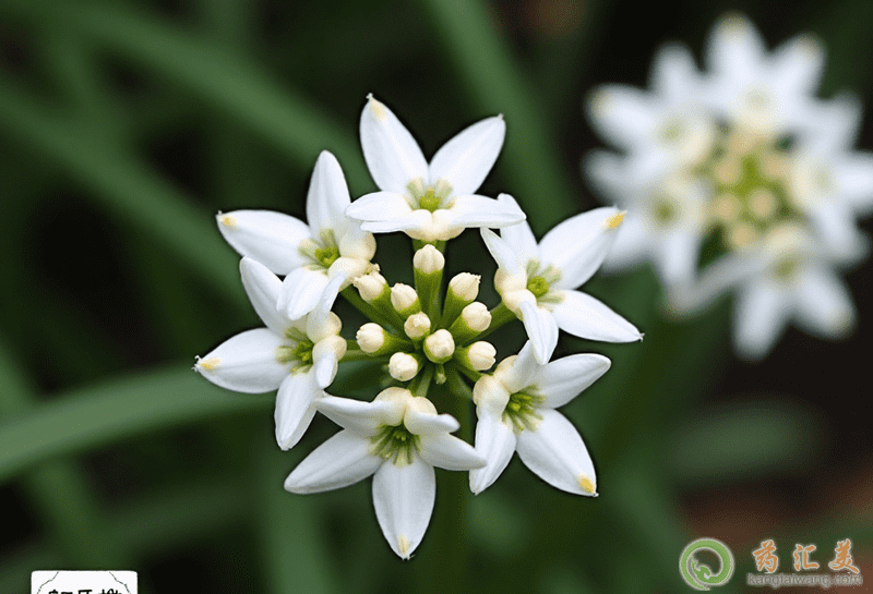 �����׻֏����ܳԾ²˻���